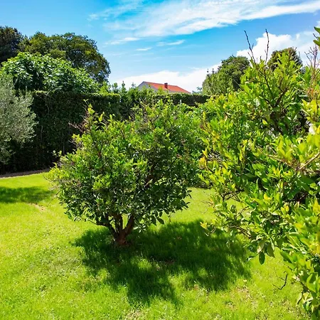 Iadertina Duplex With Garden * Zadar